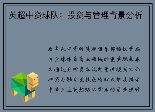 英超中资球队：投资与管理背景分析